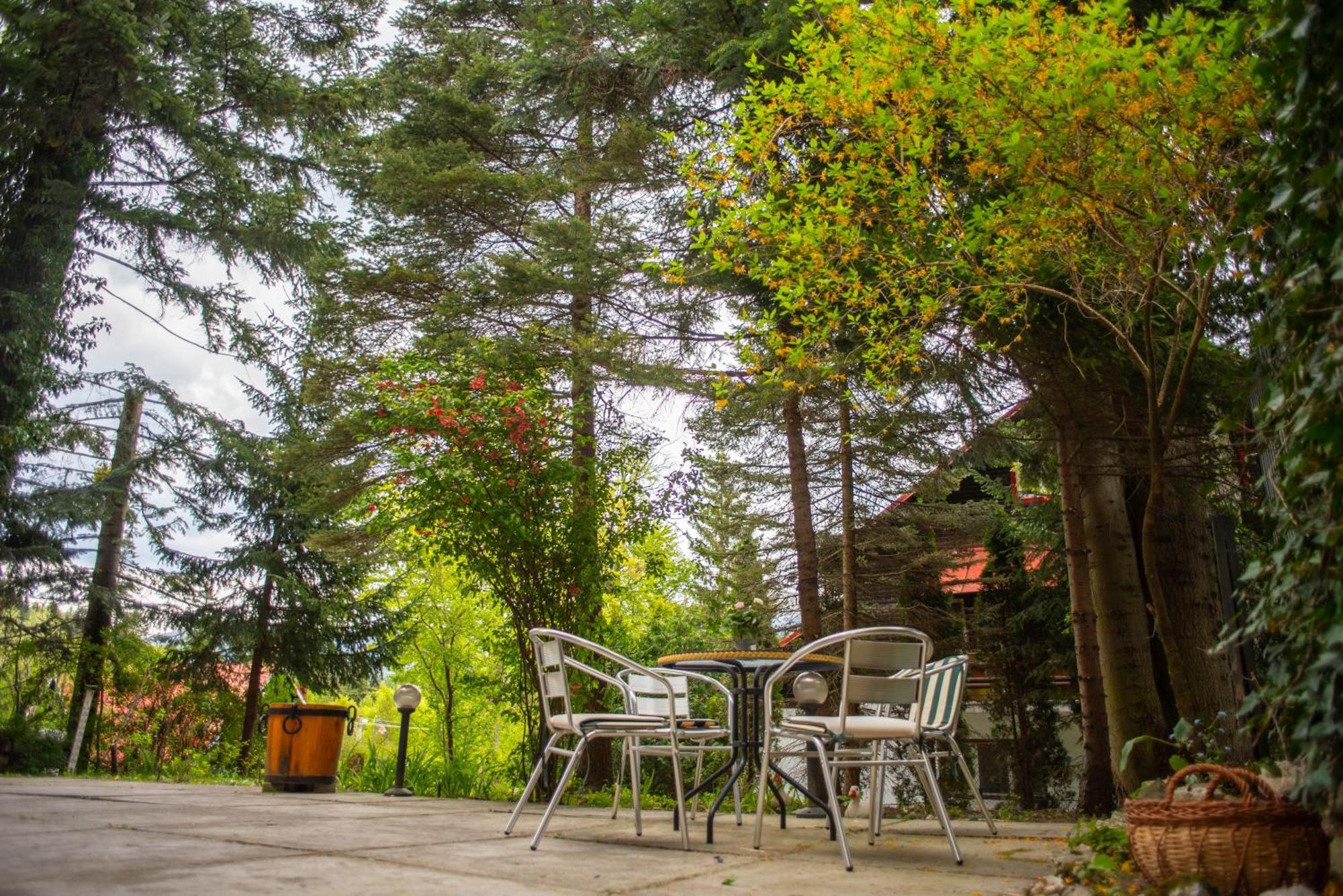 Villa Sara In Sinaia Near Peles & Gondola Zewnętrze zdjęcie